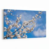 Olla 10700Y Ağaç Görseli Yatay 30x20 cm Kanvas Tablo