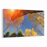 Olla 10706Y Ağaç Görseli Yatay 30x20 cm Kanvas Tablo