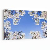 Olla 10711Y Ağaç Görseli Yatay 30x20 cm Kanvas Tablo