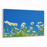 Olla 10712Y Ağaç Görseli Yatay 30x20 cm Kanvas Tablo
