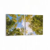 Olla 10736K2Y Ağaç Görseli Kare 2 Parça Yatay 65x30 cm Kanvas Tablo
