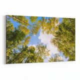 Olla 10736Y Ağaç Görseli Yatay 30x20 cm Kanvas Tablo