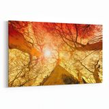 Olla 10738Y Ağaç Görseli Yatay 30x20 cm Kanvas Tablo
