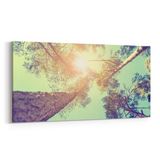Olla 10744YD Ağaç Görseli Yatay Dar 60x30 cm Kanvas Tablo
