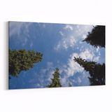 Olla 10747Y Ağaç Görseli Yatay 30x20 cm Kanvas Tablo