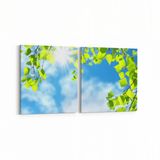 Olla 10769K2Y Ağaç Görseli Kare 2 Parça Yatay 65x30 cm Kanvas Tablo