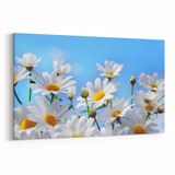 Olla 10782Y Ağaç Görseli Yatay 30x20 cm Kanvas Tablo