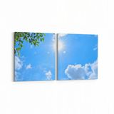 Olla 10783K2Y Ağaç Görseli Kare 2 Parça Yatay 65x30 cm Kanvas Tablo
