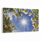 Olla 10789Y Ağaç Görseli Yatay 30x20 cm Kanvas Tablo