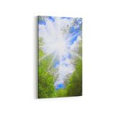 Olla 10794DD Ağaç Görseli Dikey Dar 30x60 cm Kanvas Tablo