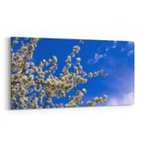 Olla 10801YD Ağaç Görseli Yatay Dar 60x30 cm Kanvas Tablo