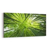 Olla 10805YD Ağaç Görseli Yatay Dar 60x30 cm Kanvas Tablo
