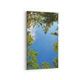 Olla 10831DD Ağaç Görseli Dikey Dar 30x60 cm Kanvas Tablo