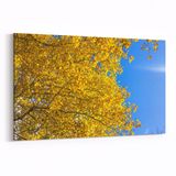 Olla 10838Y Ağaç Görseli Yatay 30x20 cm Kanvas Tablo
