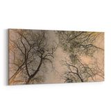 Olla 10850YD Ağaç Görseli Yatay Dar 60x30 cm Kanvas Tablo