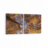 Olla 10856K2Y Ağaç Görseli Kare 2 Parça Yatay 65x30 cm Kanvas Tablo