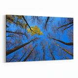 Olla 10861Y Ağaç Görseli Yatay 30x20 cm Kanvas Tablo