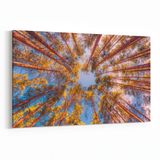 Olla 10869Y Ağaç Görseli Yatay 30x20 cm Kanvas Tablo