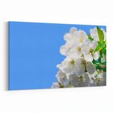 Olla 10906Y Ağaç Görseli Yatay 30x20 cm Kanvas Tablo