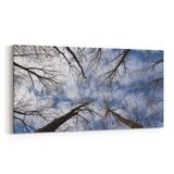 Olla 10933YD Ağaç Görseli Yatay Dar 60x30 cm Kanvas Tablo