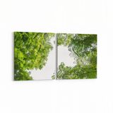 Olla 10938K2Y Ağaç Görseli Kare 2 Parça Yatay 65x30 cm Kanvas Tablo