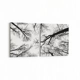 Olla 10943K2Y Ağaç Görseli Kare 2 Parça Yatay 65x30 cm Kanvas Tablo