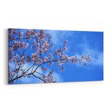 Olla 10957YD Ağaç Görseli Yatay Dar 60x30 cm Kanvas Tablo