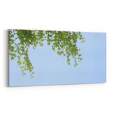 Olla 10959YD Ağaç Görseli Yatay Dar 60x30 cm Kanvas Tablo