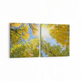 Olla 10963K2Y Ağaç Görseli Kare 2 Parça Yatay 65x30 cm Kanvas Tablo
