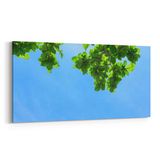 Olla 10971YD Ağaç Görseli Yatay Dar 60x30 cm Kanvas Tablo