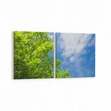 Olla 10975K2Y Ağaç Görseli Kare 2 Parça Yatay 65x30 cm Kanvas Tablo