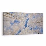 Olla 10976YD Ağaç Görseli Yatay Dar 60x30 cm Kanvas Tablo