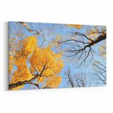 Olla 10978Y Ağaç Görseli Yatay 30x20 cm Kanvas Tablo