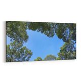 Olla 10984YD Ağaç Görseli Yatay Dar 60x30 cm Kanvas Tablo