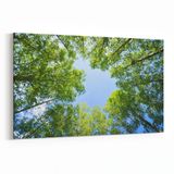 Olla 10993Y Ağaç Görseli Yatay 30x20 cm Kanvas Tablo