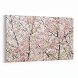 Olla 10994Y Ağaç Görseli Yatay 30x20 cm Kanvas Tablo