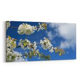 Olla 10995YD Ağaç Görseli Yatay Dar 60x30 cm Kanvas Tablo