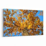 Olla 11015Y Ağaç Görseli Yatay 30x20 cm Kanvas Tablo