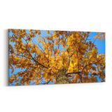 Olla 11015YD Ağaç Görseli Yatay Dar 60x30 cm Kanvas Tablo