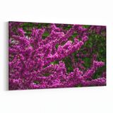 Olla 11018Y Ağaç Görseli Yatay 30x20 cm Kanvas Tablo