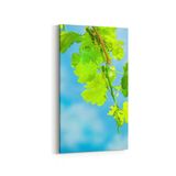 Olla 11033DD Ağaç Görseli Dikey Dar 30x60 cm Kanvas Tablo
