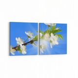 Olla 11041K2Y Ağaç Görseli Kare 2 Parça Yatay 65x30 cm Kanvas Tablo