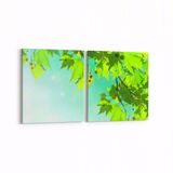 Olla 11044K2Y Ağaç Görseli Kare 2 Parça Yatay 65x30 cm Kanvas Tablo