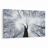 Olla 11046Y Ağaç Görseli Yatay 30x20 cm Kanvas Tablo