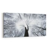 Olla 11046YD Ağaç Görseli Yatay Dar 60x30 cm Kanvas Tablo