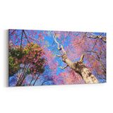 Olla 11047YD Ağaç Görseli Yatay Dar 60x30 cm Kanvas Tablo
