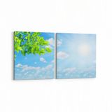 Olla 11060K2Y Ağaç Görseli Kare 2 Parça Yatay 65x30 cm Kanvas Tablo