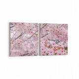 Olla 11556K2Y Çiçek Görseli Kare 2 Parça Yatay 65x30 cm Kanvas Tablo