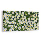 Olla 11568YD Çiçek Görseli Yatay Dar 60x30 cm Kanvas Tablo