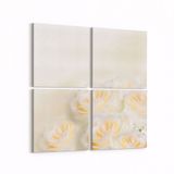 Olla 11576K4 Çiçek Görseli Kare 4 Parça 65x65 cm Kanvas Tablo
